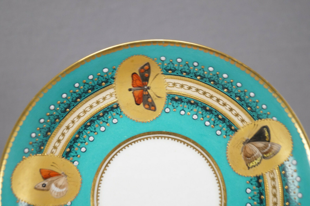 ロイヤルウースター　バタフライのカップ＆ソーサー