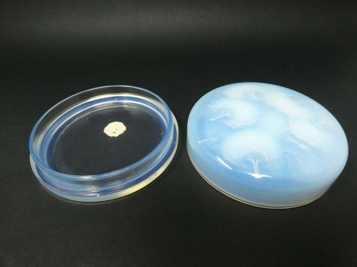 Rene Lalique Glass Opalescent 'Houppes' Box