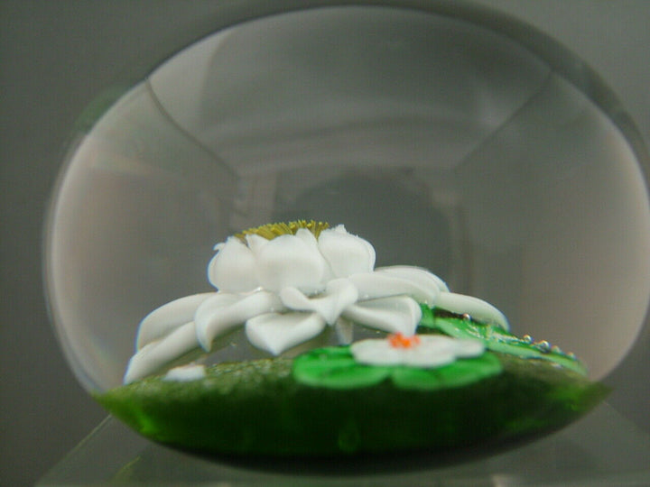 Beautiful Ltd. ed. Baccarat 1977 Water Lillies Paperweight