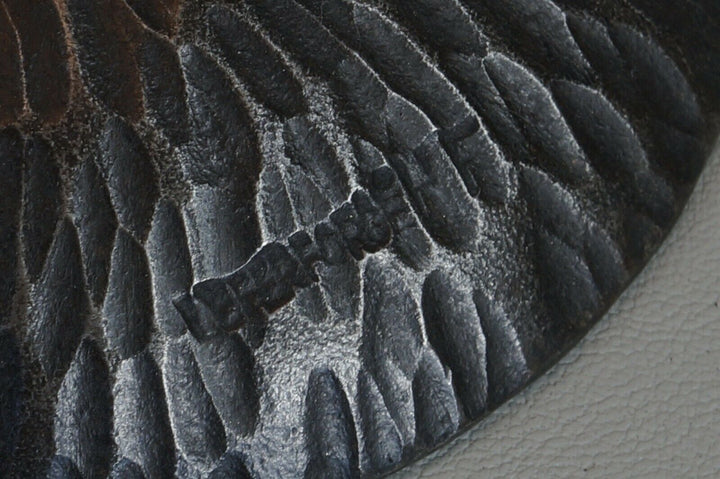 FOURNET & SCHNEIDER : FRENCH 1930 ART DECO LAMP . fer forgé HF France muller era