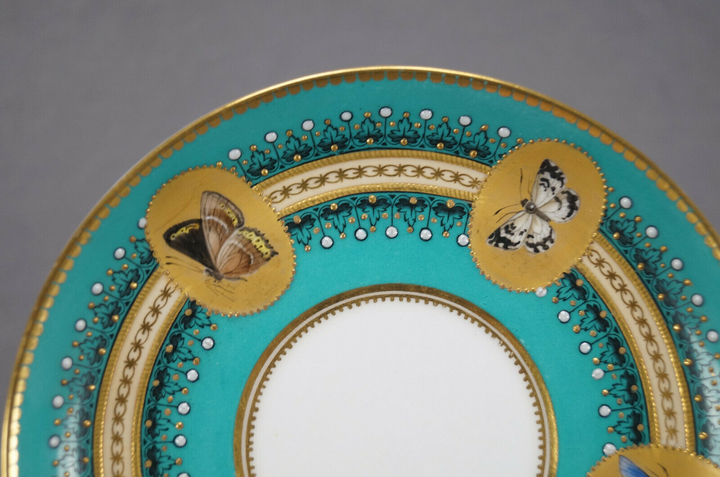 ロイヤルウースター　バタフライのカップ＆ソーサー