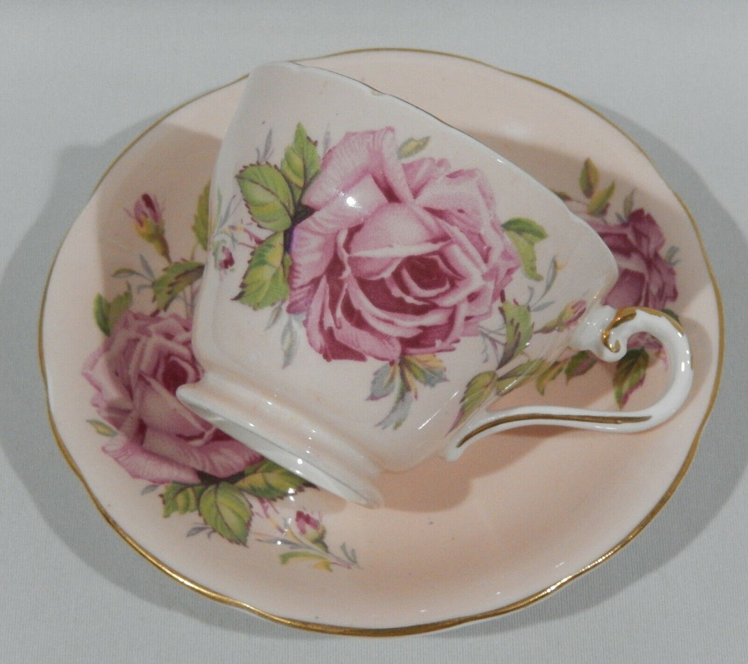 Vintage 1950s AYNSLEY PINK CABBAGE ROSE CUP & SAUCER on PALE PEACH BACKGROUND