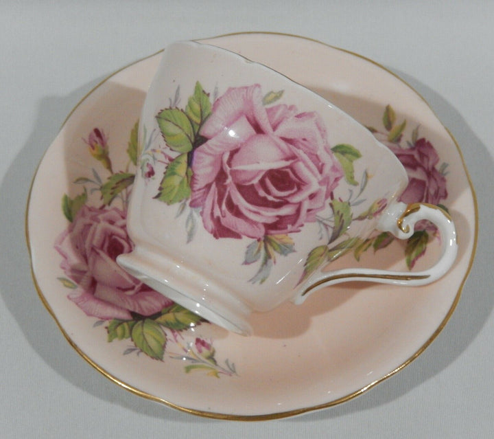 Vintage 1950s AYNSLEY PINK CABBAGE ROSE CUP & SAUCER on PALE PEACH BACKGROUND