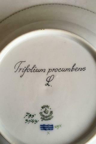 Royal Copenhagen Flora Danica Deep Plate No 735/3545