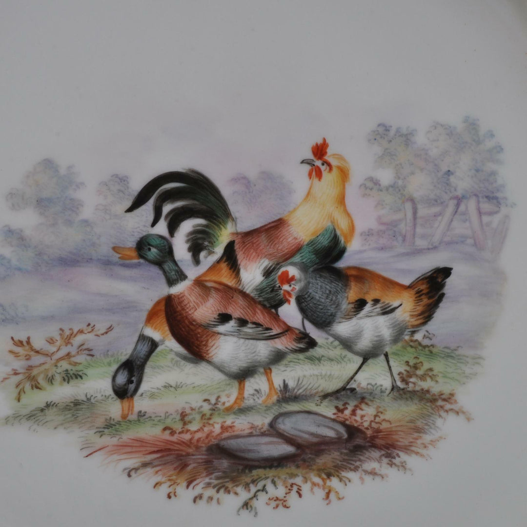 Meissen Durchbruchteller Schale, Enten und Hühner, Blüten und Insekten, 1.Wahl