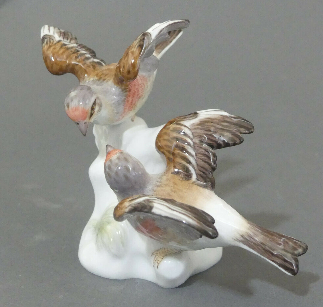 マイセン人形 フィギュア ムネアカヒワ １級品
