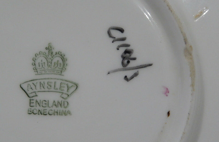 Vintage 1950s AYNSLEY PINK CABBAGE ROSE CUP & SAUCER on PALE PEACH BACKGROUND