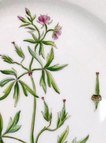 ロイヤルコペンハーゲン　フローラダニカ　17cmプレート　中古