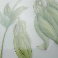 Royal Copenhagen Flora Danica Platter 30cm Plate Dinner Finest Botanical Encyc