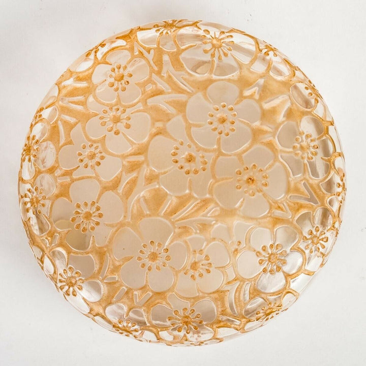 Boite Émiliane Patine Sepia René Lalique Stained Glass Box Jar R.Lalique
