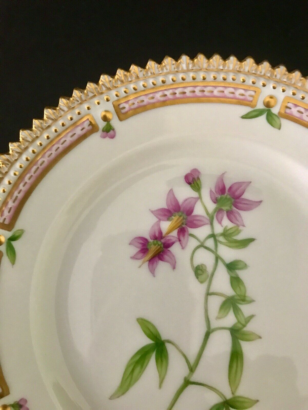 Royal Copenhagen Flora Danica Bread Plate 20/3552 Solanum Dulcamara L.