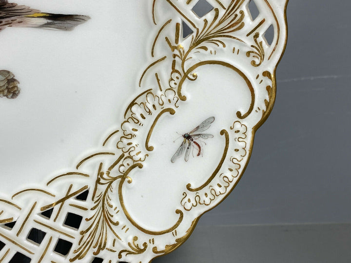SCHÖNER MEISSEN DURCHBRUCHTELLER TELLER VOGEL AUF AST BEEREN INSEKT D:20,8cm
