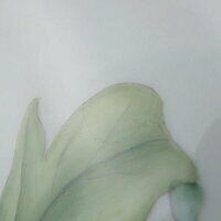 Royal Copenhagen Flora Danica Platter 30cm Plate Dinner Finest Botanical Encyc