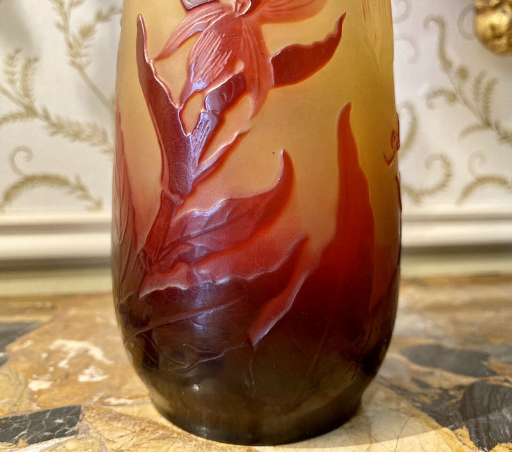 Émile GALLE - Vase Piriforme allongé aux Iris