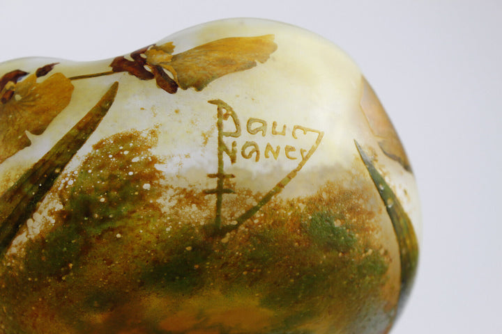 ドームナンシー　ボウル　胡蝶蘭