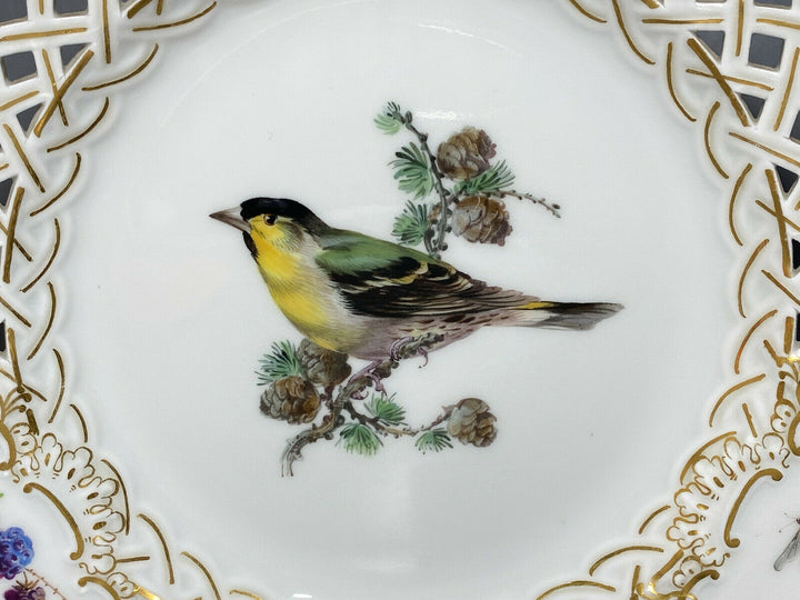 SCHÖNER MEISSEN DURCHBRUCHTELLER TELLER VOGEL AUF AST BEEREN INSEKT D:20,8cm