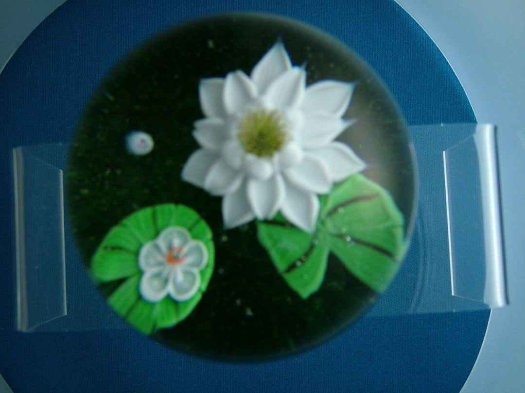 Beautiful Ltd. ed. Baccarat 1977 Water Lillies Paperweight