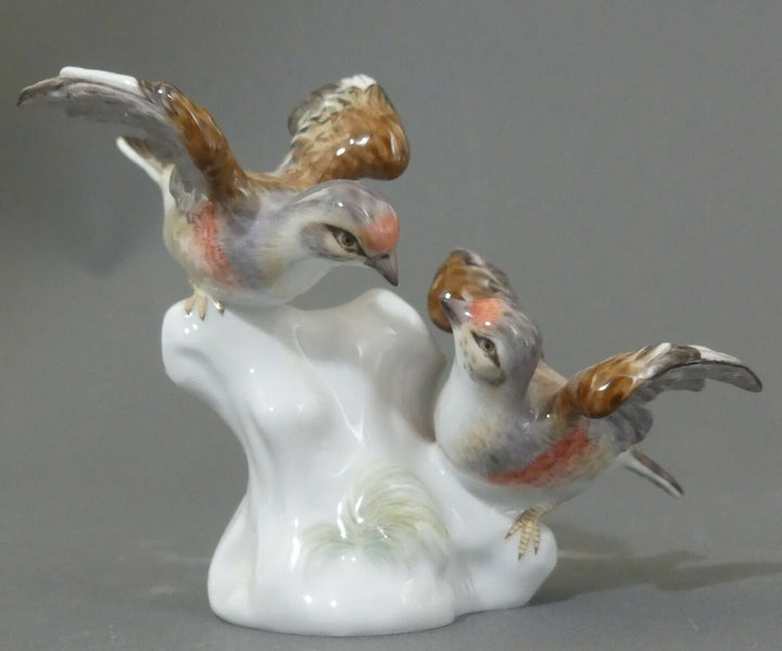 マイセン人形 フィギュア ムネアカヒワ １級品