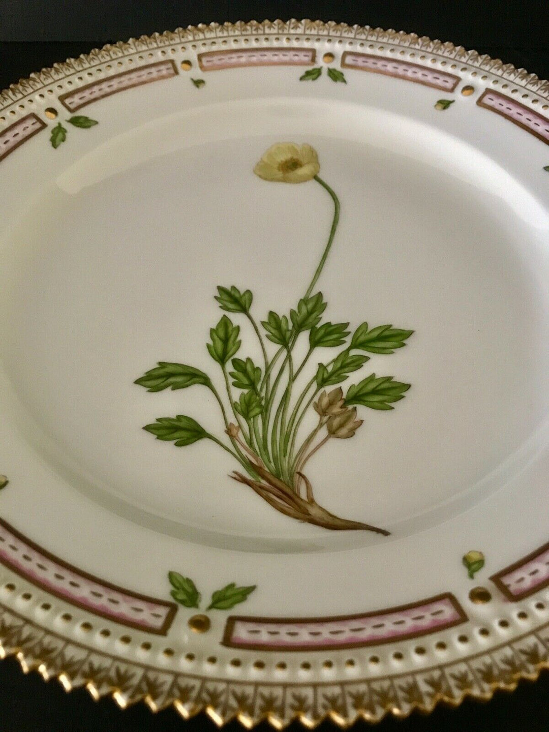 Royal Copenhagen FLORA DANICA Porcelain 8 7/8" Luncheon Plate #3550