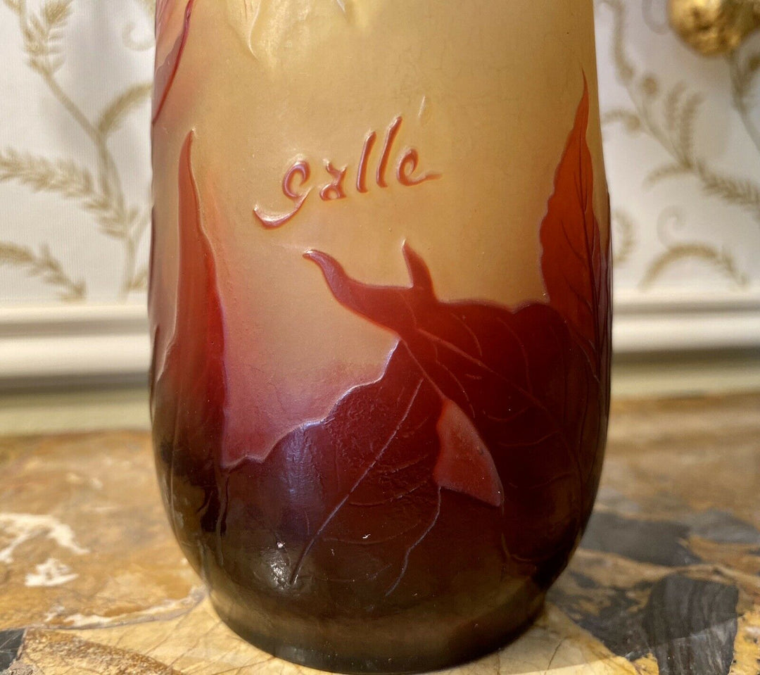Émile GALLE - Vase Piriforme allongé aux Iris