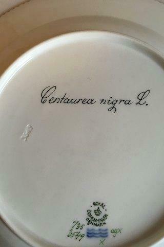 Royal Copenhagen Flora Danica Dinner Plate No 735/3549