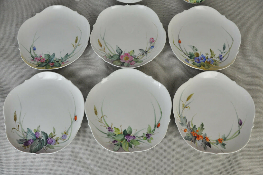 マイセン　ティーサービス　　森の植物　21点セット