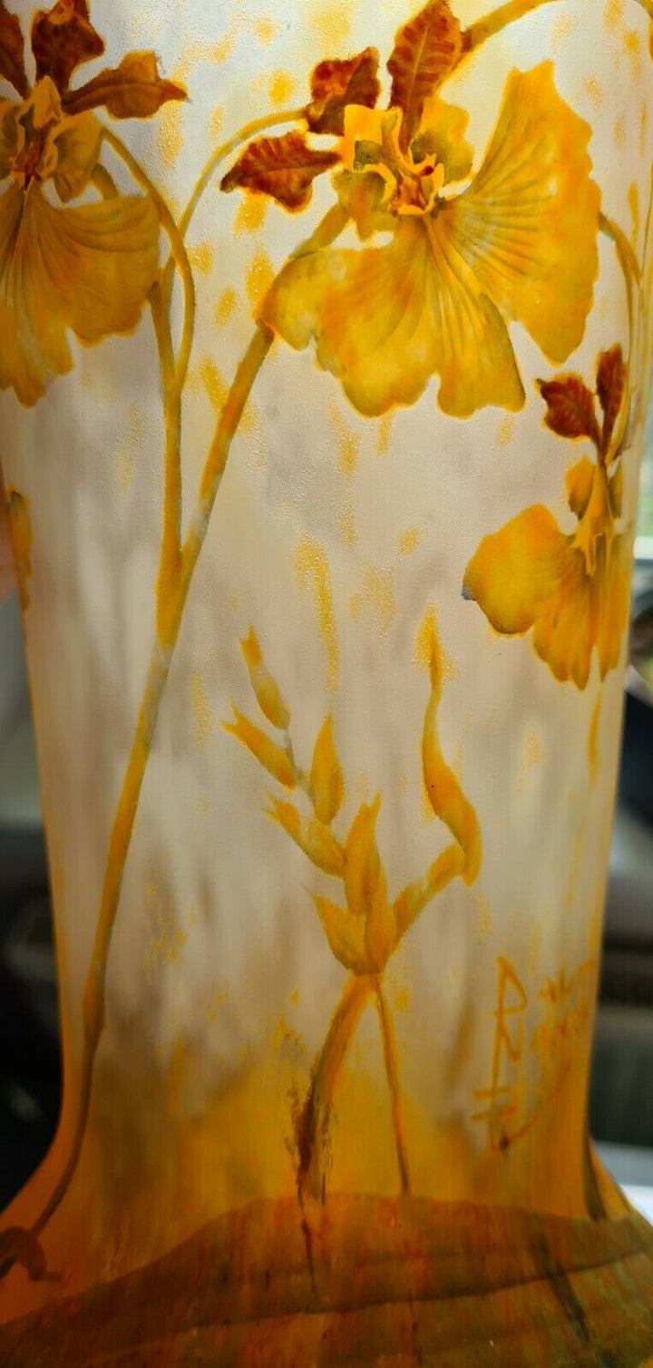 ドーム兄弟　蘭の花の瓶花