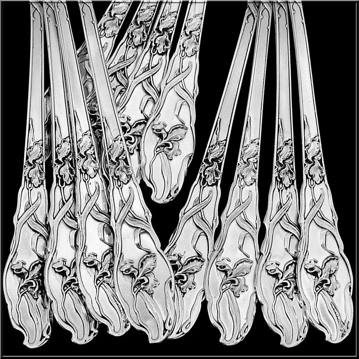 Ravinet Rare French Sterling Silver Tea Coffee Spoons Set 12 Pc, Iris, Box