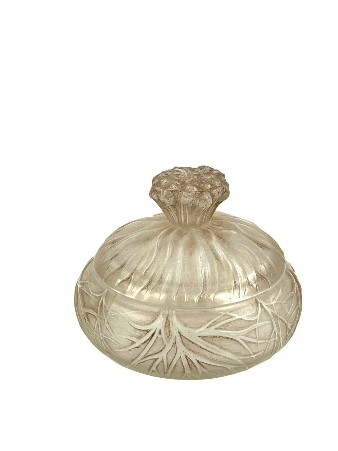 Boite Cheveux De Vénus Patiné Sépia René Lalique Brown Stain Box Jar R.Lalique