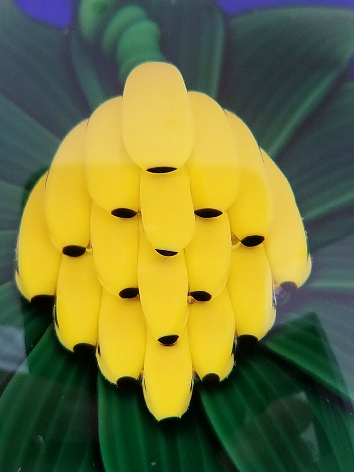 Pretty Sulfide, Paperweight, Paperweight, Baccarat, 1988, Bananas