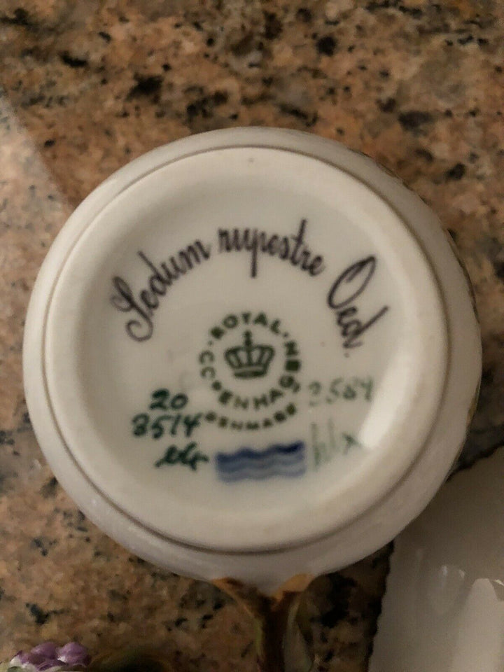 ロイヤルコペンハーゲン　フローラダニカ　カスタードカップ Sedum Rupestre Oed