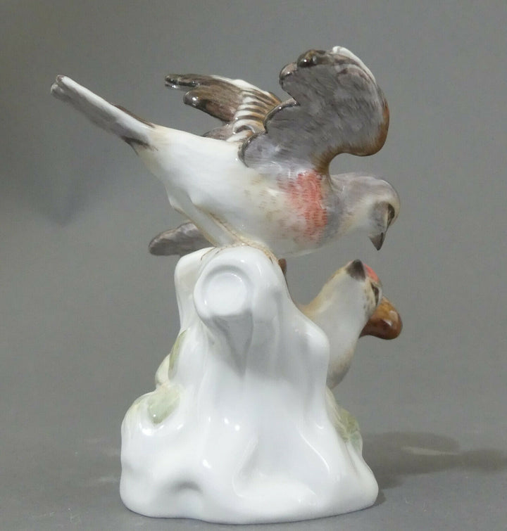 マイセン人形 フィギュア ムネアカヒワ １級品