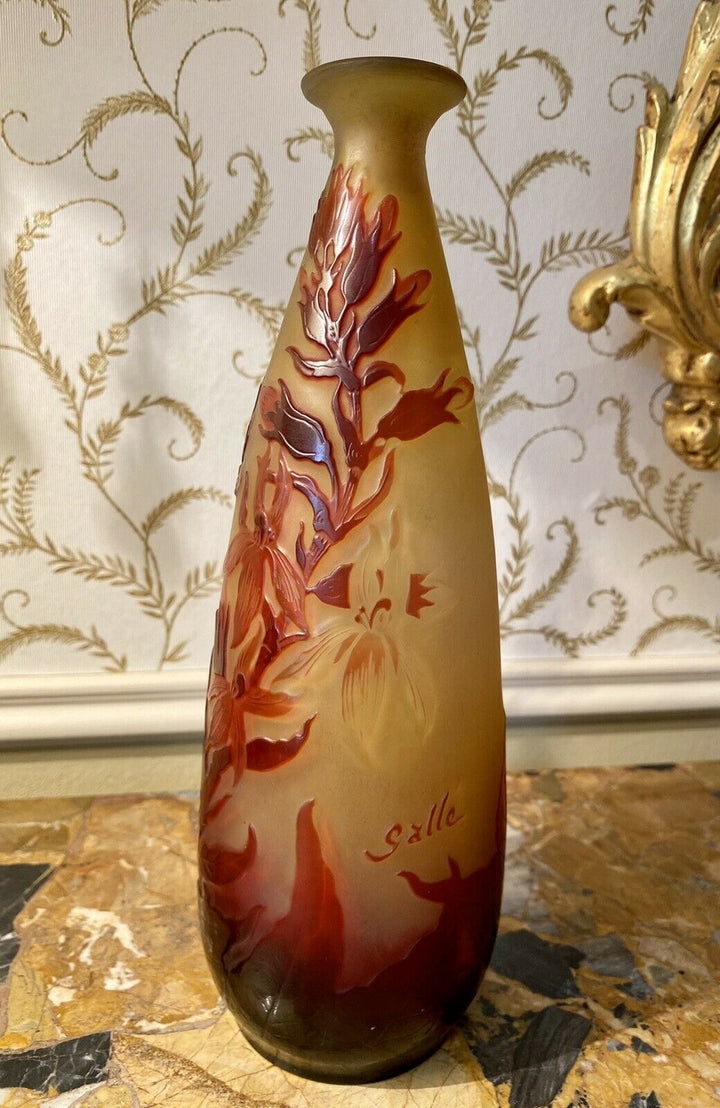 Émile GALLE - Vase Piriforme allongé aux Iris