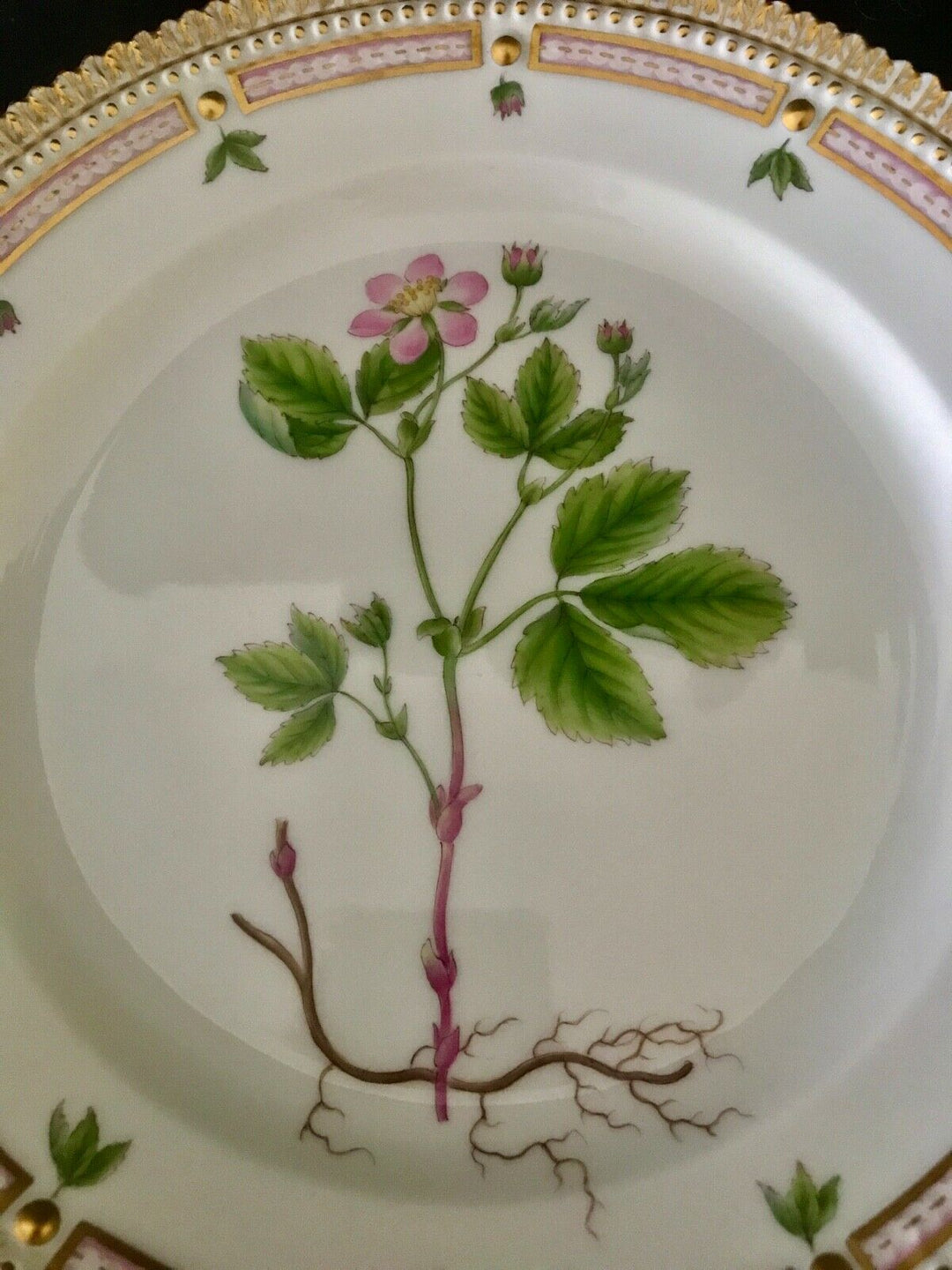 Royal Copenhagen FLORA DANICA Porcelain 8 7/8" Luncheon Plate #3550