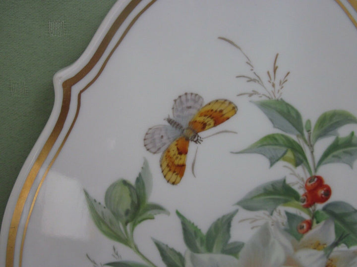 Schöne Meissen Bildplatte mit naturalistische Blumen, Schmetterling und Gold