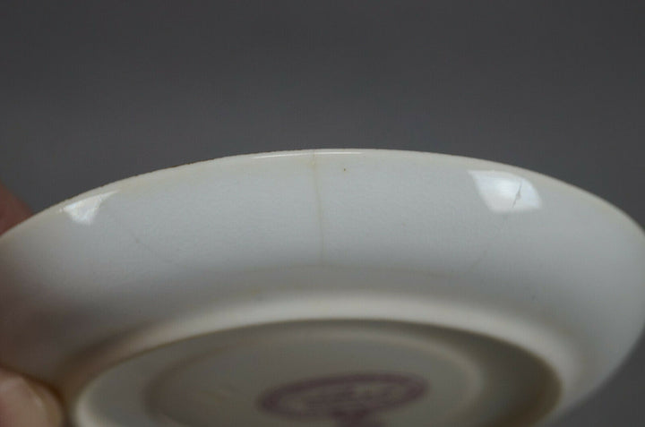 ロイヤルウースター＆ティファニー、エナメル彩色の鳥と虫、アイボリー、蝶の取っ手のカップ