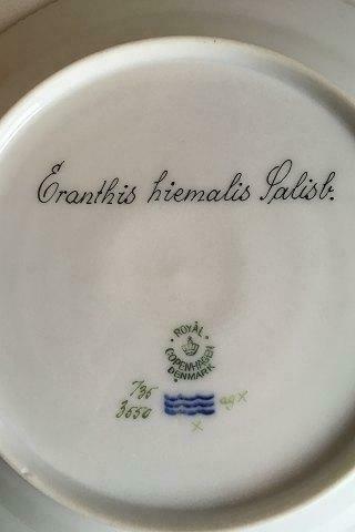 ロイヤルコペンハーゲン フローラダニカ ランチプレート No 735/3550