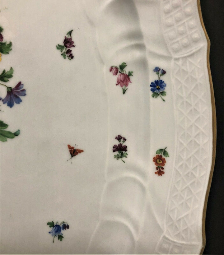 Large Original Meissen Insects / Bugs Serving Tray/Platter