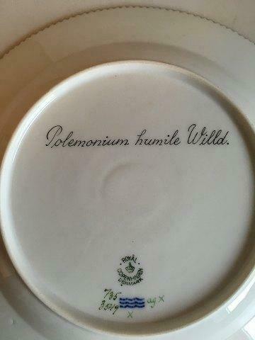 Royal Copenhagen Flora Danica Dinner Plate No 735/3549