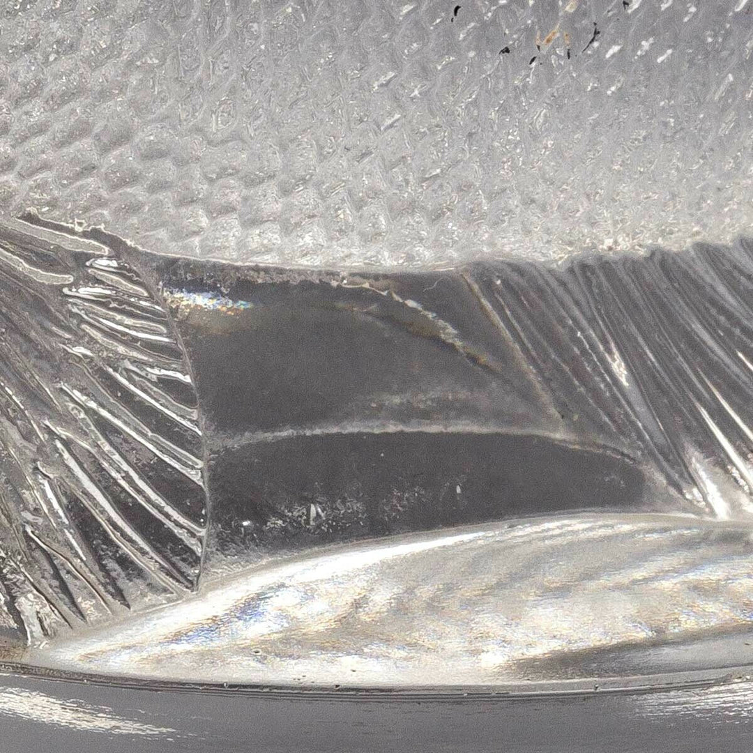 Mascotte Perche René Lalique R.Lalique Car Mascot Hood Hornement Glass Fish