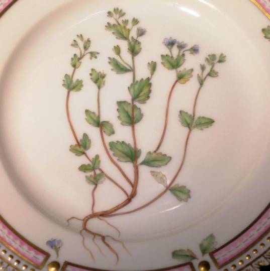 Royal Copenhagen Flora Danica Plate Diameter 14.5cm Veronica Praecox Used