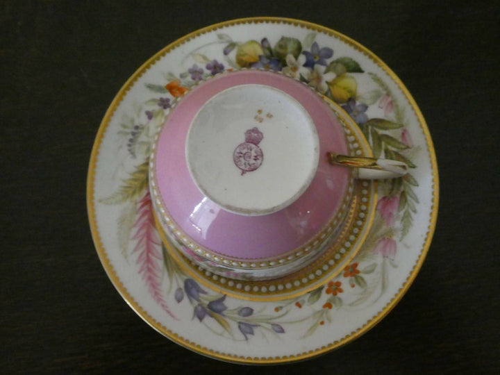 Antique Royal Worcester Hand Painted Cup and Saucer 1879c