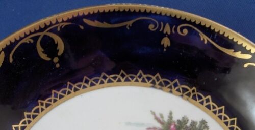 Antique 19thC English Spode Porcelain Bird Scene Cup & Saucer Scenic Porzellan