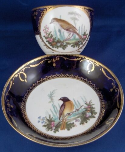 Antique 19thC English Spode Porcelain Bird Scene Cup & Saucer Scenic Porzellan