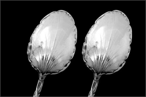 Canaux Masterpiece French Sterling Silver Tea Coffee Spoons Set 12 pc