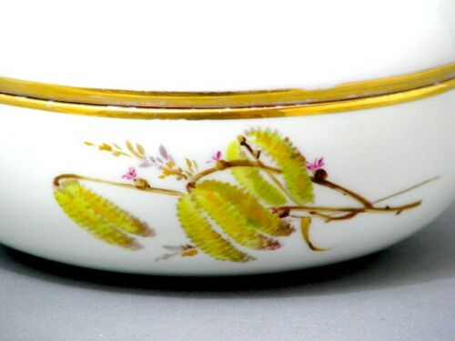 Meissen Art Deco große Deckeldose mit Braunsdorf Malerei Insekten & Goldrand マイセ