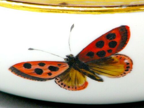 Meissen Art Deco große Deckeldose mit Braunsdorf Malerei Insekten & Goldrand マイセ