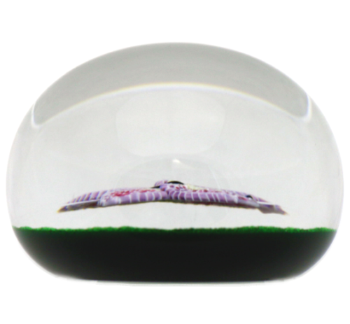 Captivating BACCARAT Pink BUTTERFLY Glass PAPERWEIGHT