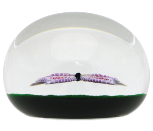 Captivating BACCARAT Pink BUTTERFLY Glass PAPERWEIGHT