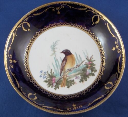 Antique 19thC English Spode Porcelain Bird Scene Cup & Saucer Scenic Porzellan